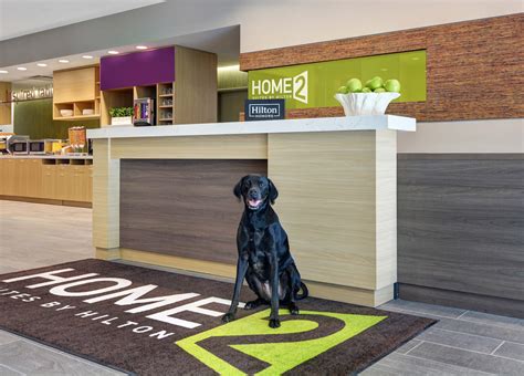 pet friendly hilton